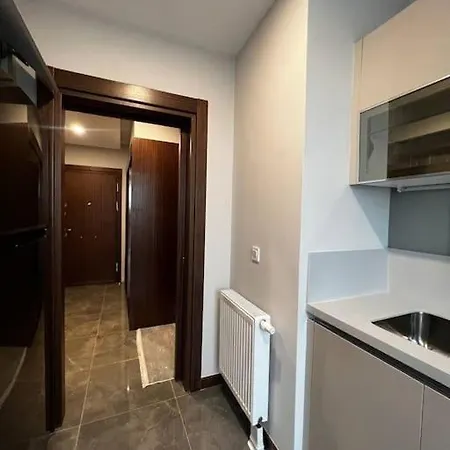 Lux 2+1 In Istanbul Basaksehir